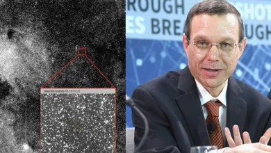 Incoming ‘comet’ may be alien and a threat to humanity, astronomer says