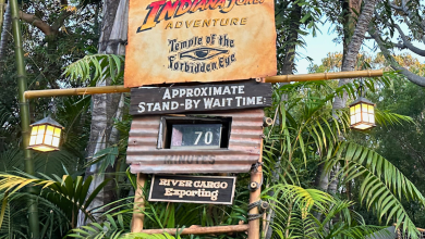 Indiana Jones Adventure Ride Closure at Disneyland Extended by Day