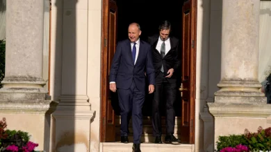 Ireland could explore offshore deportation hubs for failed asylum seekers, says Taoiseach