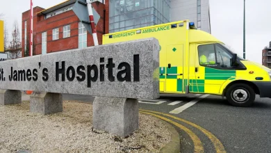 Ireland's TB care centre says it cannot meet current or future demand as cases soar