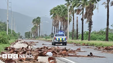 Jamaica wakes to no electricity and destruction after Hurricane Melissa