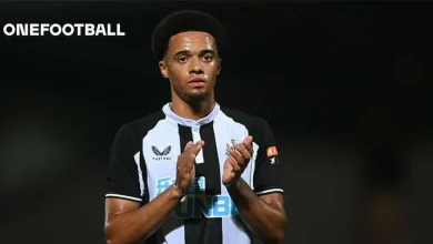 Jamal Lewis finally signs for new club