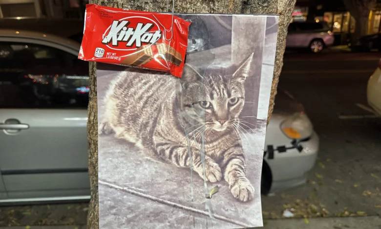 KitKat, liquor store mascot and ‘16th St. ambassador,’ killed, allegedly by Waymo