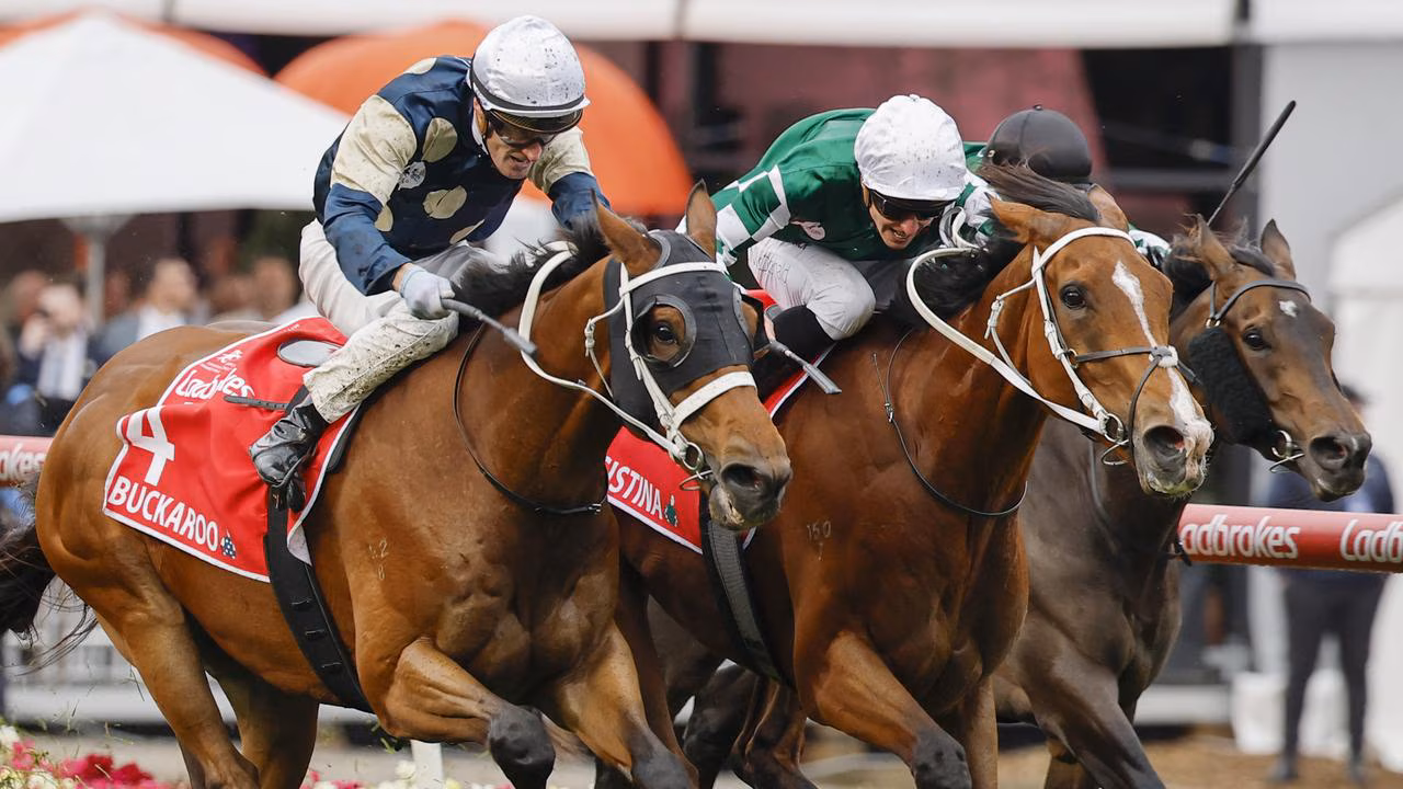 Latest Melbourne Cup field: ‘50-50’ call looms on local hope as star import passes key test