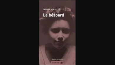 «Le bézoard», roman familial troublant | «Tous les gens qu'on croise dans la rue ont des histoires comme ça»