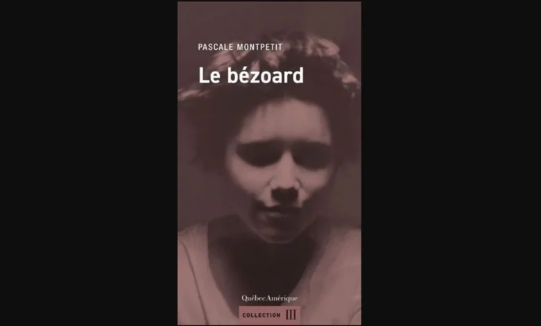 «Le bézoard», roman familial troublant | «Tous les gens qu'on croise dans la rue ont des histoires comme ça»