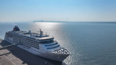 Les derniers instants déchirants de l'octogénaire « oubliée » par son bateau de croisière sur une île isolée