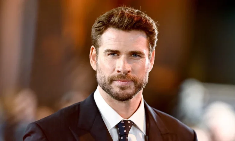 Liam Hemsworth Is 'Excited’ About Engagement to Gabriella Brooks