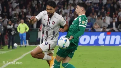 Liga de Quito vs. Palmeiras: Watch Live Copa Libertadores Semifinal Today