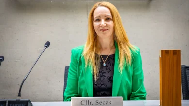 Limerick Labour councillor announces shock resignation from party