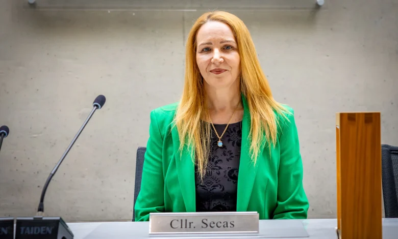 Limerick Labour councillor announces shock resignation from party