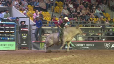 Local bull riders to brave the ring at PBR Grand Finals