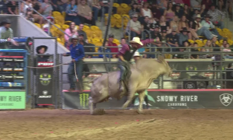 Local bull riders to brave the ring at PBR Grand Finals