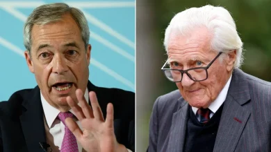 Lord Heseltine: ‘My final contribution may be to try to stop Nigel Farage’