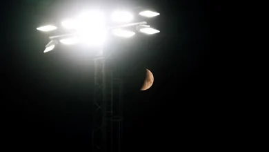 Match Preview: Luton Town vs Forest Green Rovers - Luton Town FC