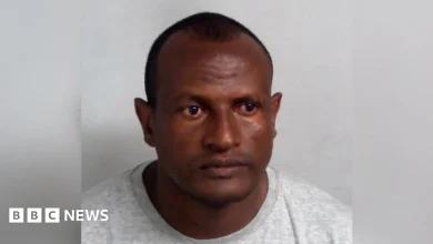 Migrant sex offender deported from UK, government says