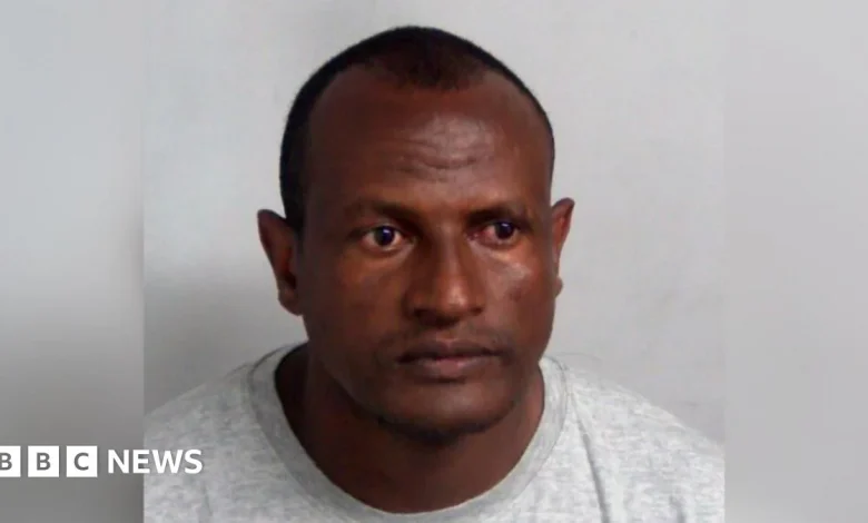 Migrant sex offender deported from UK, government says