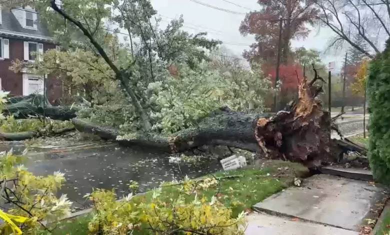 NYC storms: Heavy rain, gusty winds causing damage, transit issues throughout NJ, NYC