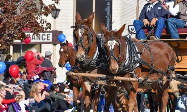 Nevada Day Parade 2025 Lineup announced