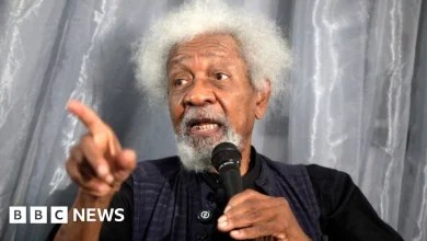 Nigerian Nobel laureate Wole Soyinka says his US visa revoked