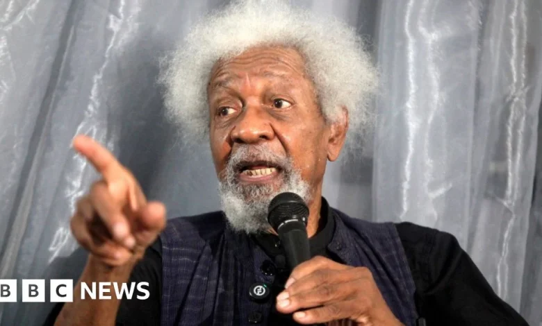 Nigerian Nobel laureate Wole Soyinka says his US visa revoked