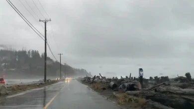 North Island wind warning issued for Tuesday