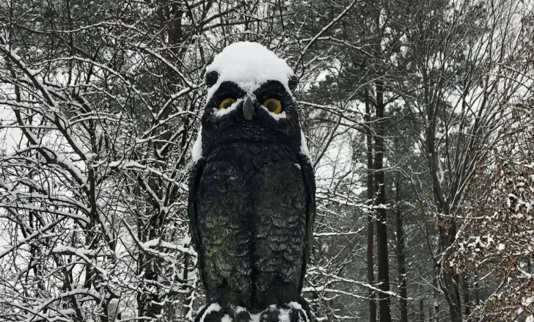 Old Farmer's Almanac 2025-26 winter predictions for Petersburg, VA, Atlantic Corridor