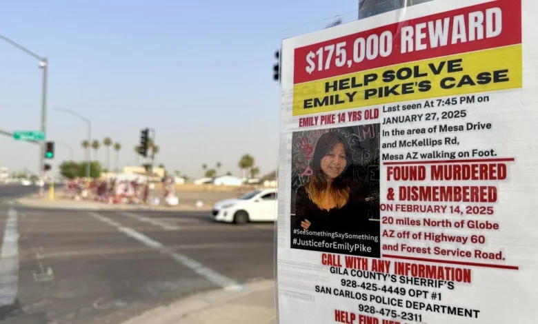 Over 300 have been reported missing since launch of Turquoise Alert. Arizona used it once