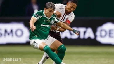 Palmeiras vs. LDU: Watch Top Highlights from the Libertadores Match