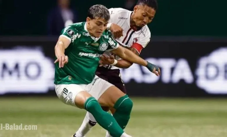 Palmeiras vs. LDU: Watch Top Highlights from the Libertadores Match