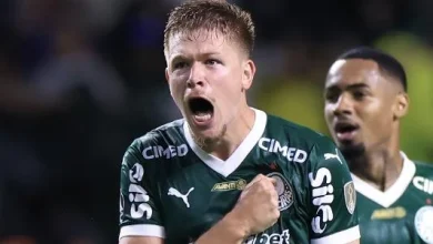Paulo Vinicius Coelho (PVC): O Palmeiras é o time da maior virada das semifinais da Libertadores
