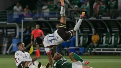 Pênalti? Comentarista de arbitragem dá veredito em lance de Palmeiras x LDU