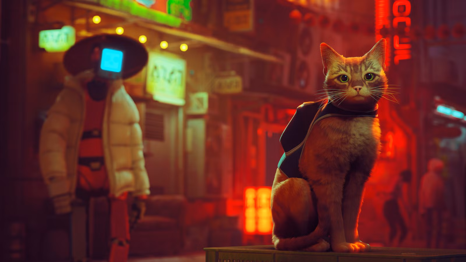 PlayStation Plus members get Stray and more in November