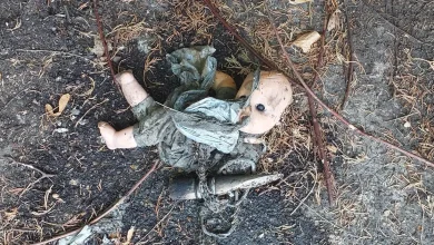 Pork chop and toy doll found in Anglian Water sewer network as residents urged to 'just bin it'