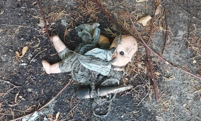 Pork chop and toy doll found in Anglian Water sewer network as residents urged to 'just bin it'