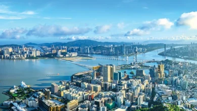 Q3 sees 8 pct economic growth