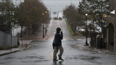 Rainfall warning issued for Halifax area ahead of Halloween storm