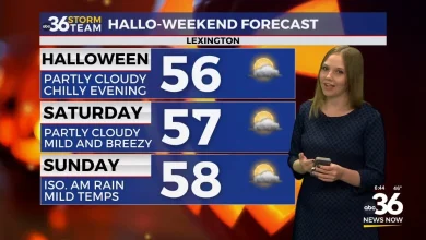 Rainy, gusty and cool temperatures on tap for Thursday