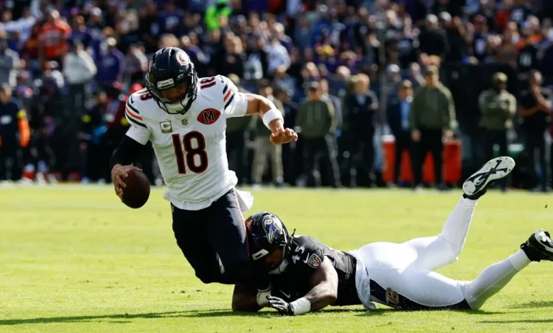 Ravens vs. Bears: Week 8 Rookie Report