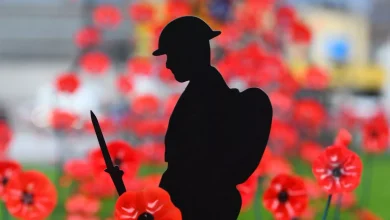 Reason village Remembrance service cancelled amid Facebook anger