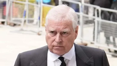 Royal family favourability trackers, October 2025