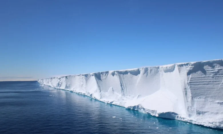 Scientists Went Looking for Shackleton’s Endurance. They found a Hidden Fish City in Perfect Formation Instead