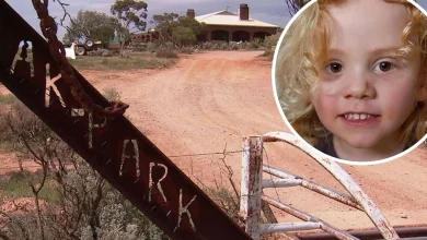Searchers to drain large dam today on family's remote property in renewed search for missing boy Gus Lamont