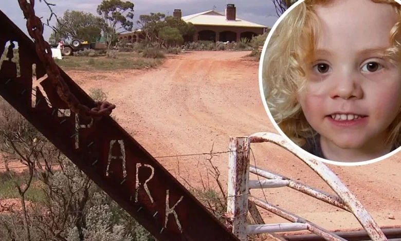 Searchers to drain large dam today on family's remote property in renewed search for missing boy Gus Lamont