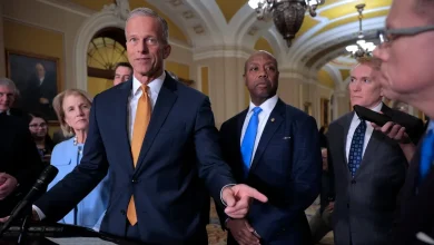 Senators scramble as SNAP benefits set to expire for first time ever: Day 29 live updates