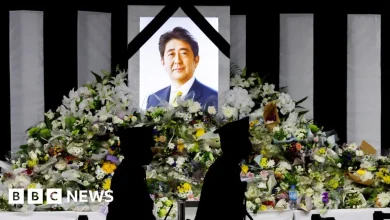 Shinzo Abe: Man pleads guilty to killing Japan's former prime minister