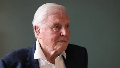 Sir David Attenborough backs bid to save Rothbury Estate ‘for nature and nation’ | ITV News