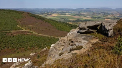 Sir David Attenborough backs campaign to buy Rothbury Estate