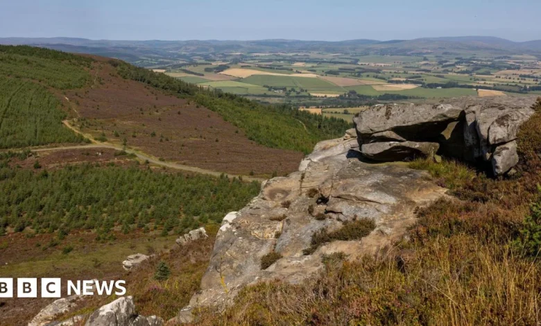 Sir David Attenborough backs campaign to buy Rothbury Estate