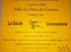 Soirée Beaujolais nouveau : Repas et banquets à Cormoz